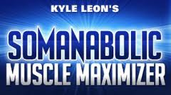 Muscle Maximizer'