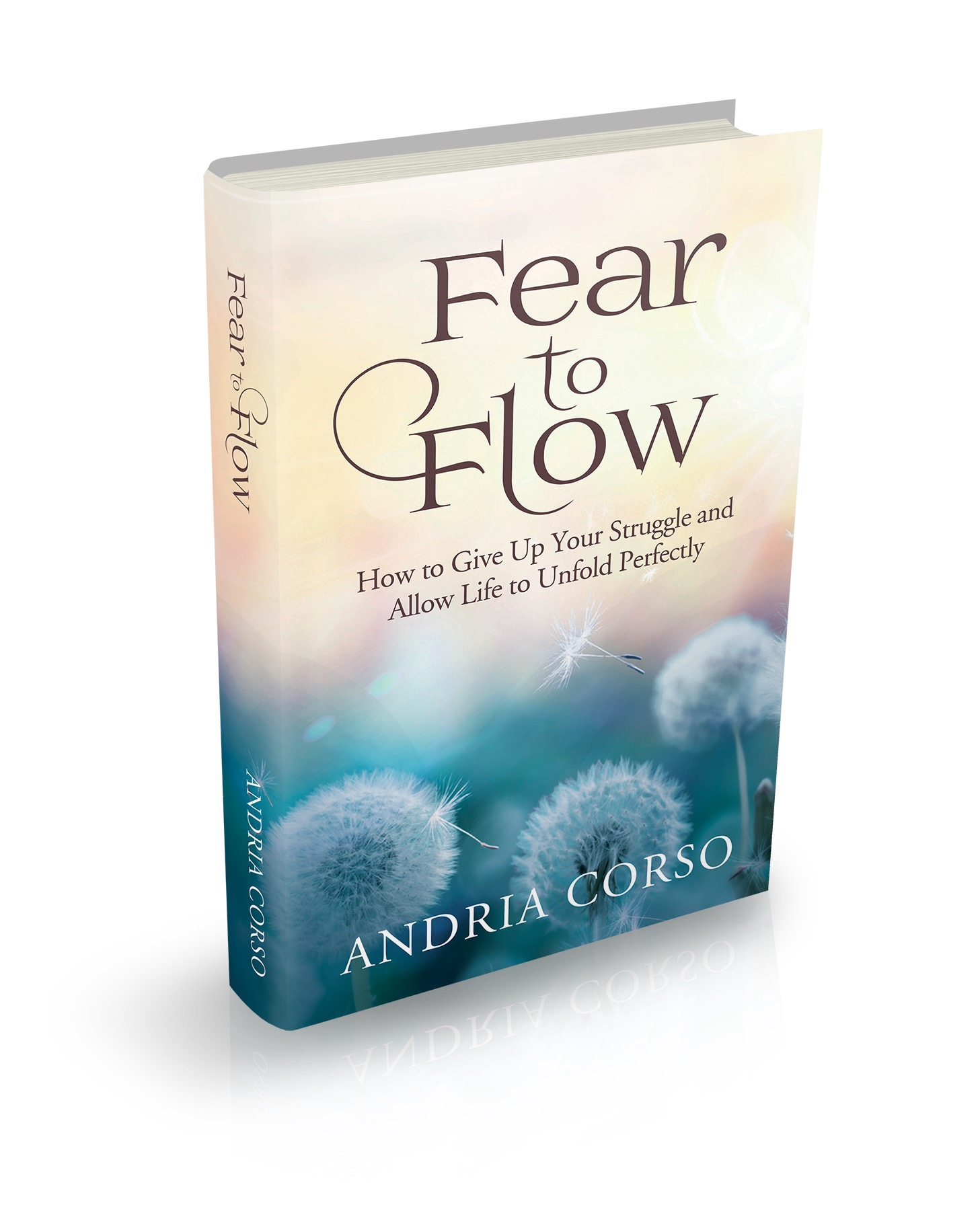 Book Logo For AndriaCorso &amp; Co. LLC'