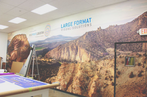 Wall Design in Large Format Visual Solutions room'