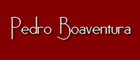 Company Logo For Pedro Boaventura'