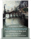 PEDRO BOAVENTURA FINE ART COLLECTION'
