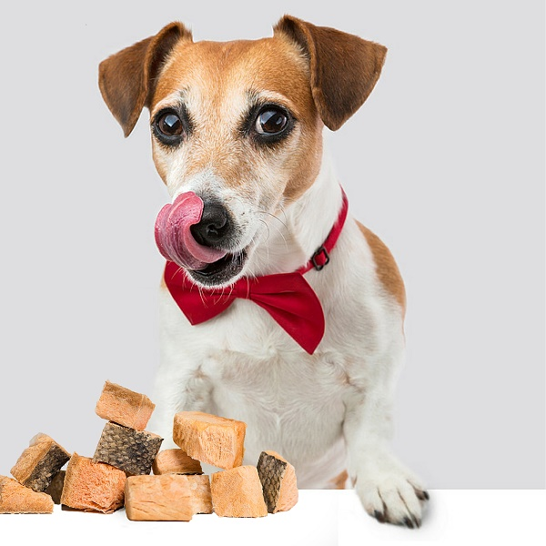 Green Butterfly Brands