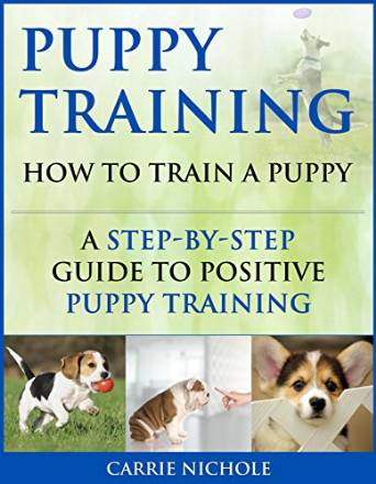 Puppy Training