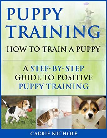 Puppy Training'