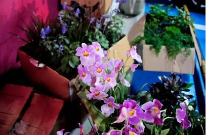 Creater Space | Huashan