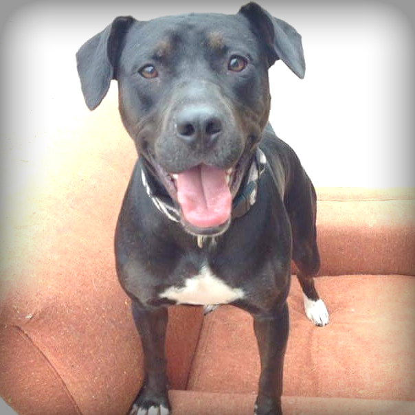 Charlie Bravo of The Charlie Bravo Story.