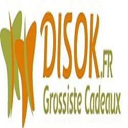 DISOK FRANCE Logo