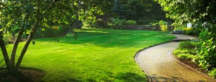 A Superior Edge Lawn Care