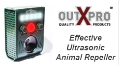 outxpor.png
