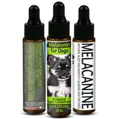 Melatonin for Dogs'