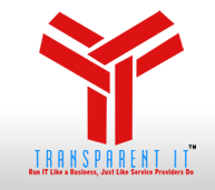 Transparent IT Solutoins Logo