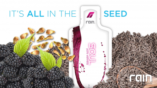 Rain International: It's All In The Seed'
