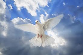 The New Life In Christ'