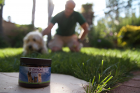 ZENAPET LAUNCHES IMMUNE SUPPORT PRODUCT FOR DOGS