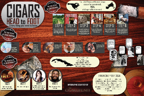 The Cigar Life Infographic
