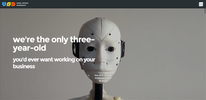 Unique Software Development Website