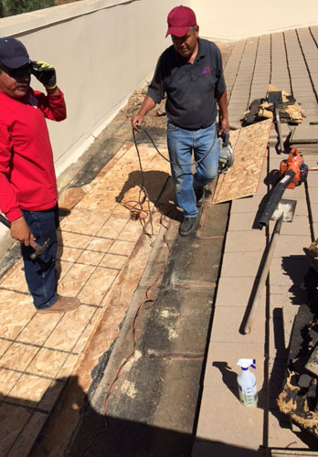 roof maintenance'