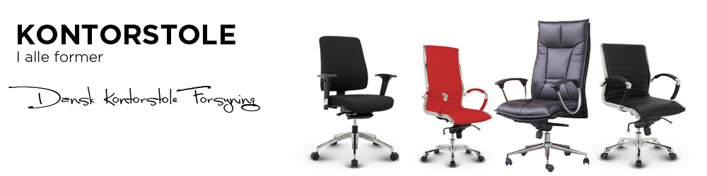 Ergonomic Chairs