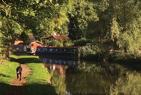 Exclusively Warwickshire Logo