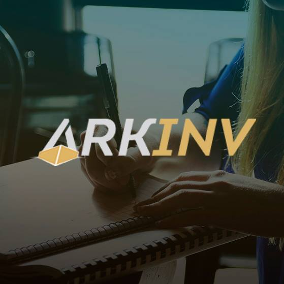 ArkInv Limited Company'