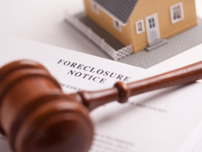 Consumer Action Law Group