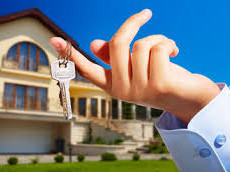 Thornton Real Estate'