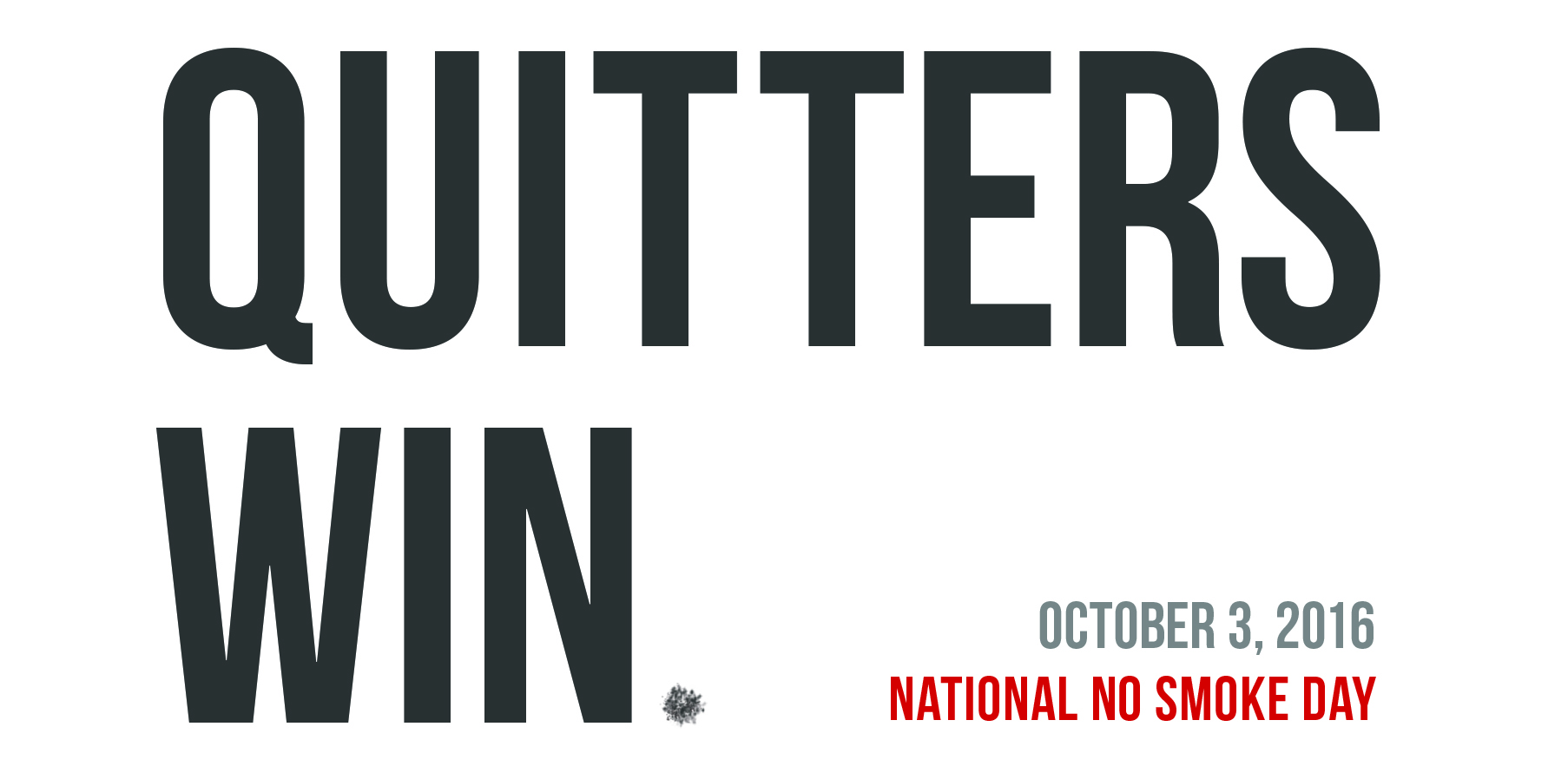 No Smoke Day Logo