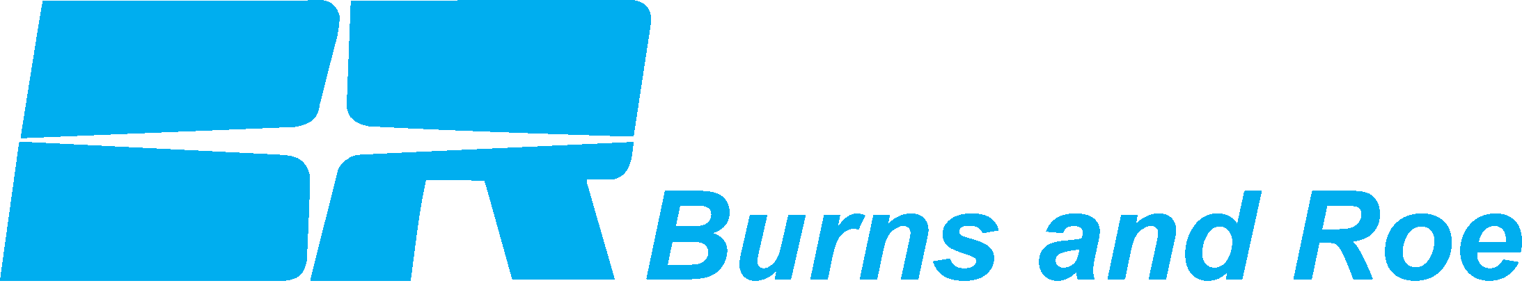 Burns and Roe Logo'