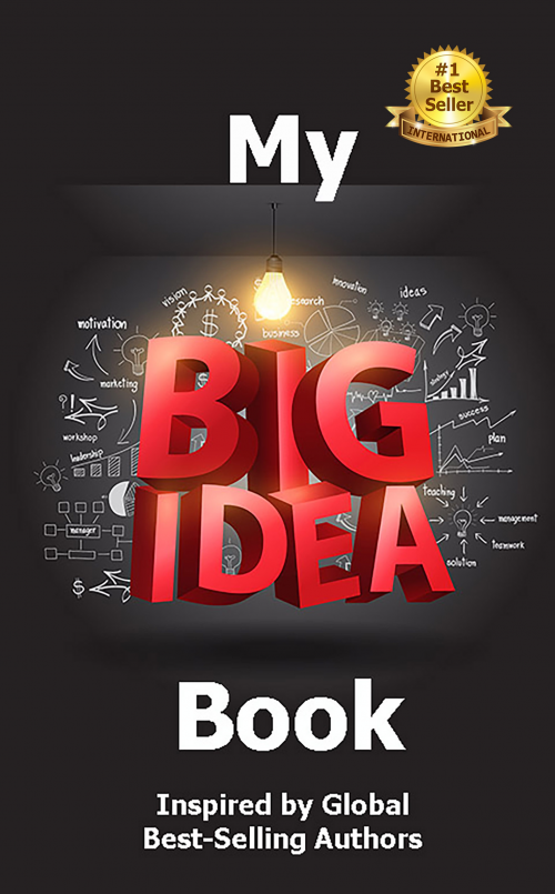 My Big Idea Book'