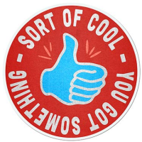 Sort of Cool Logo