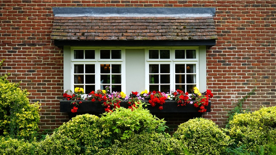 Window flowers'