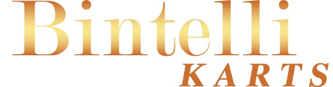 Company Logo For Bintelli Karts'