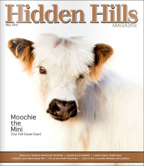 Hidden Hills Magazine Cover'