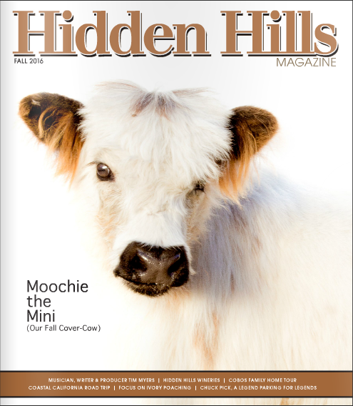 Hidden Hills Magazine Cover