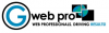 Company Logo For G Web Pro Marketing Inc.'