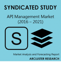Arcluster API Management Market Report Image