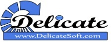 Company Logo For Delicate Software Solutions'