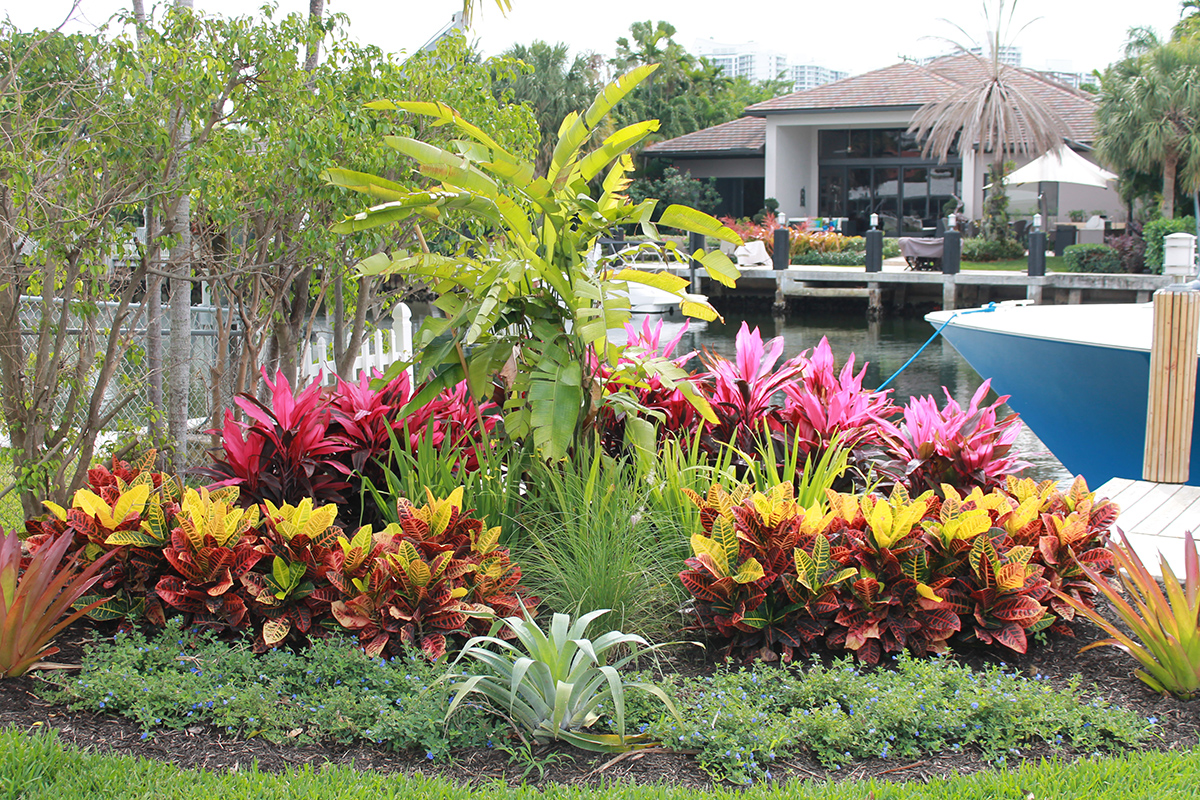 Landscape backyard install by Pink and Green Lawn Care