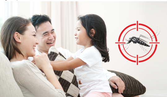 Have you done enough to protect your family from Zika?