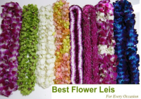 Best Flower Leis