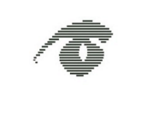 Warm Springs Optometric Group Logo