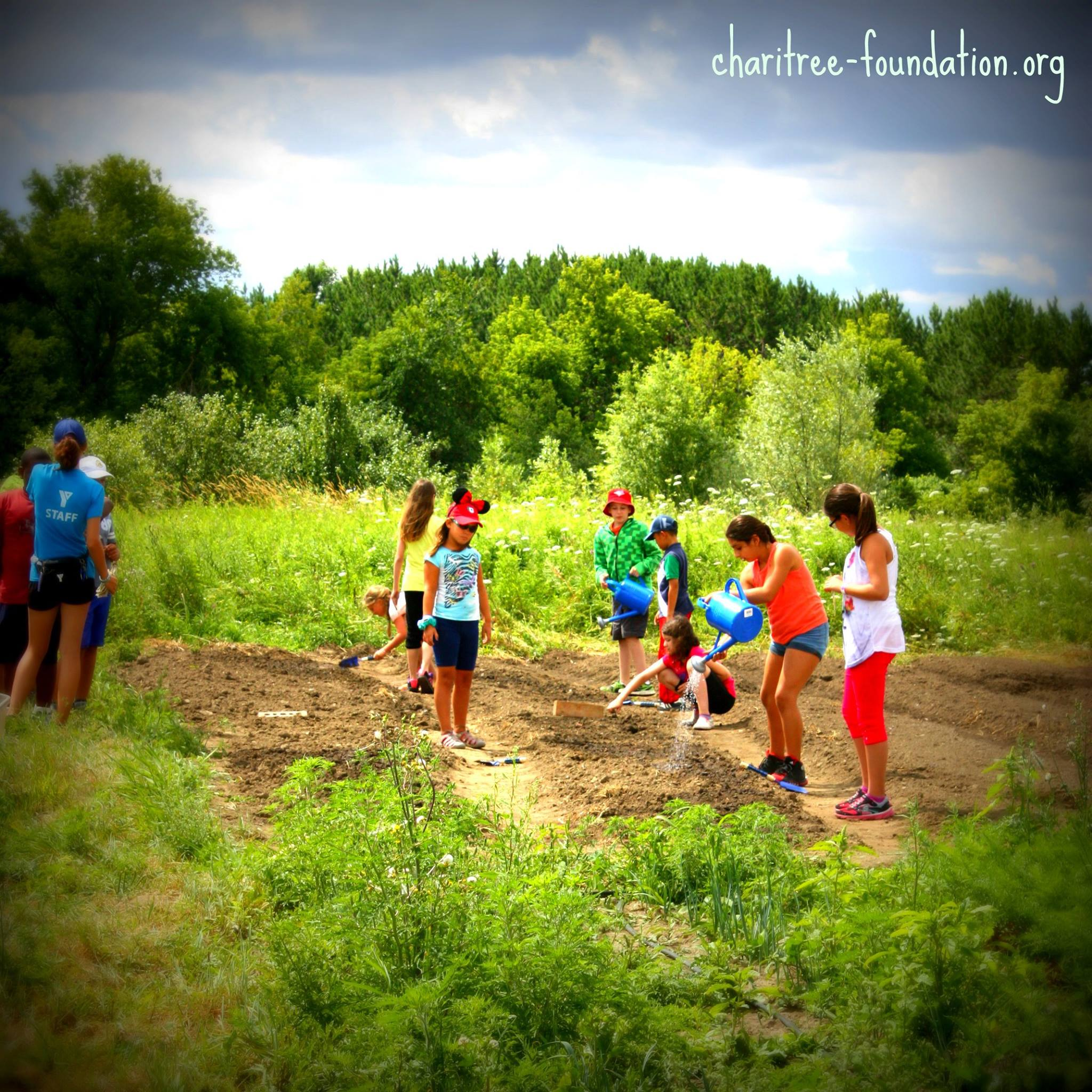 The ChariTree Foundation