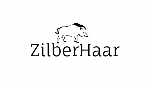 Company Logo For ZilberHaar'
