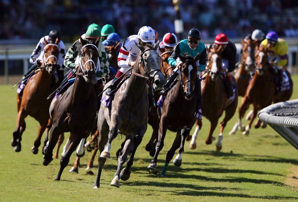 Breeders Cup Race