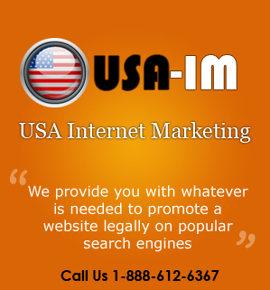 Logo for USA Internet Marketing Company'