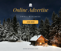 Online Advertising agency