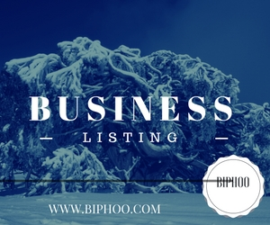 Local Business Listing