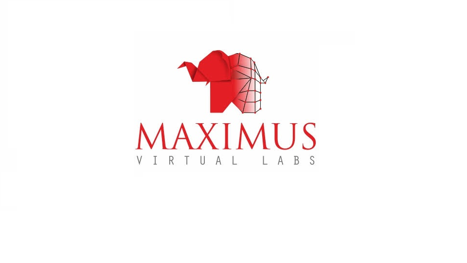 Company Logo For Maximus Infinity'