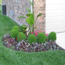 Photo For All Seasons Landscaping Services'