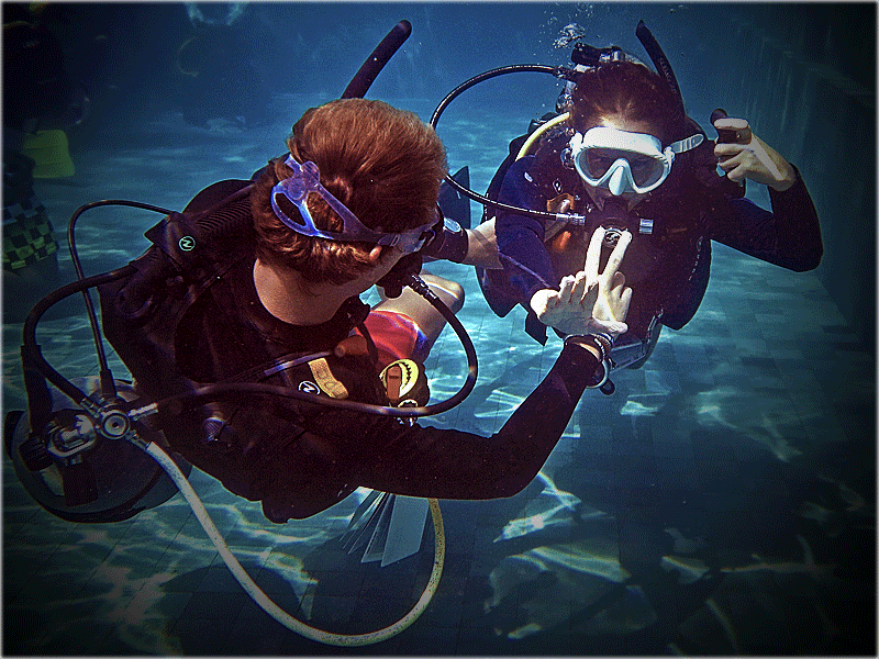 PADI IDC Gili Islands